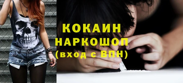 гашик Костерёво