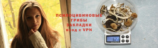 гашик Костерёво