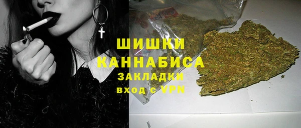 гашик Костерёво