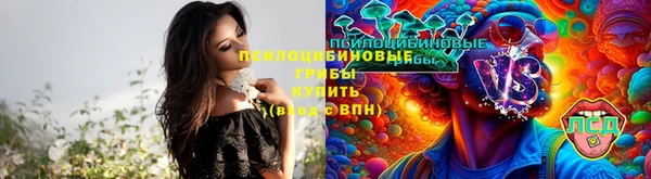мдма Козловка
