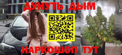 эйфоретик Кингисепп