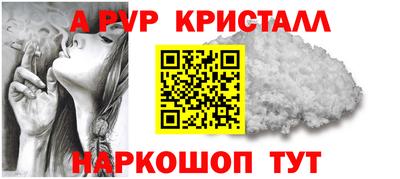 эйфоретик Кингисепп