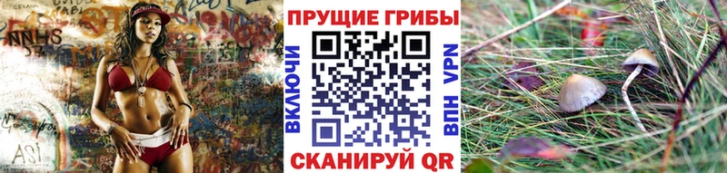 МЕГА   Малгобек  Галлюциногенные грибы GOLDEN TEACHER 