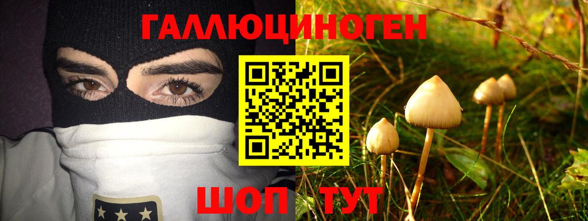 Галлюциногенные грибы прущие грибы Малгобек