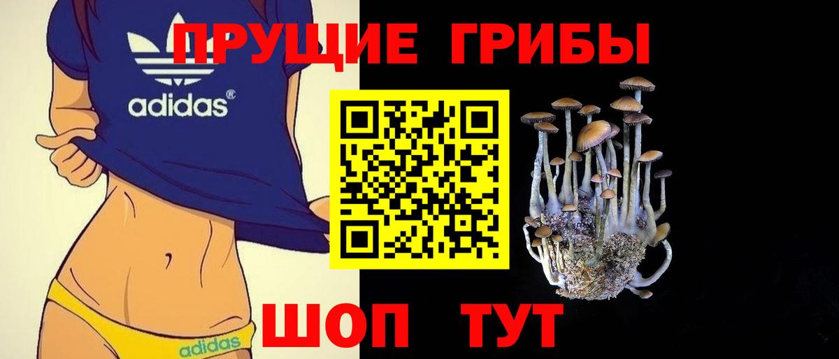 Галлюциногенные грибы Magic Shrooms  Вход с VPN  Малгобек 