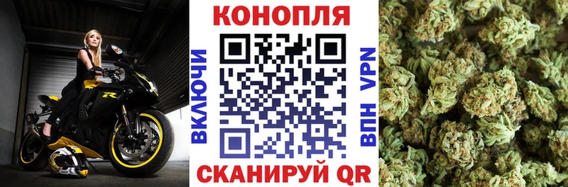 Конопля AK-47  Малгобек 